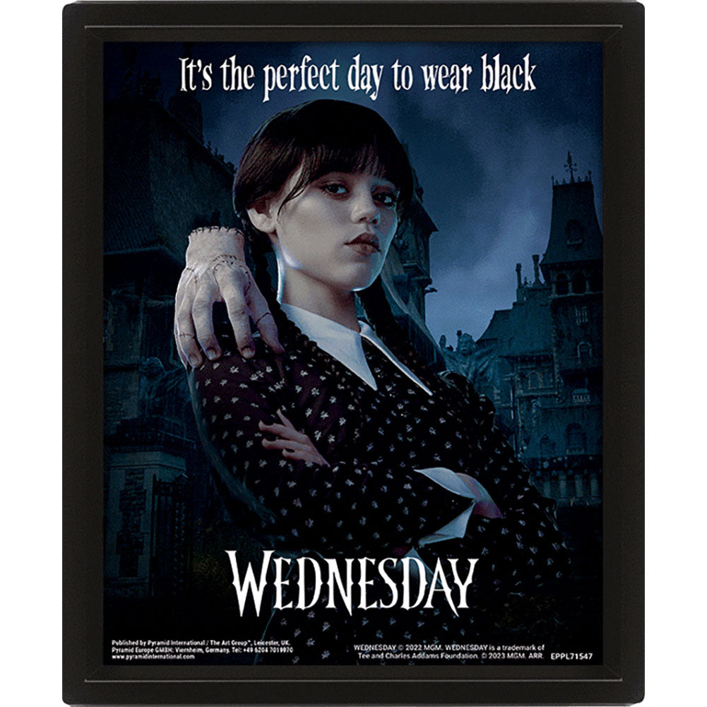 Wednesday Framed 3D Picture