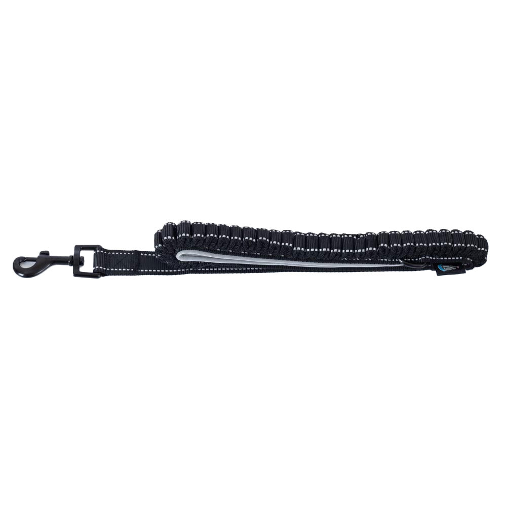 Newcastle United FC Reflective Dog Lead