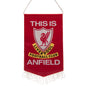 Liverpool FC TIA Mini Pennant